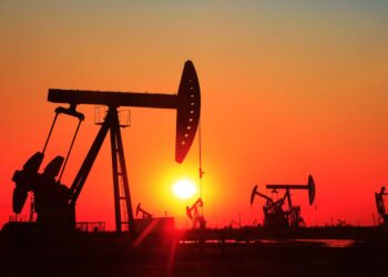 Фото: Shutterstock