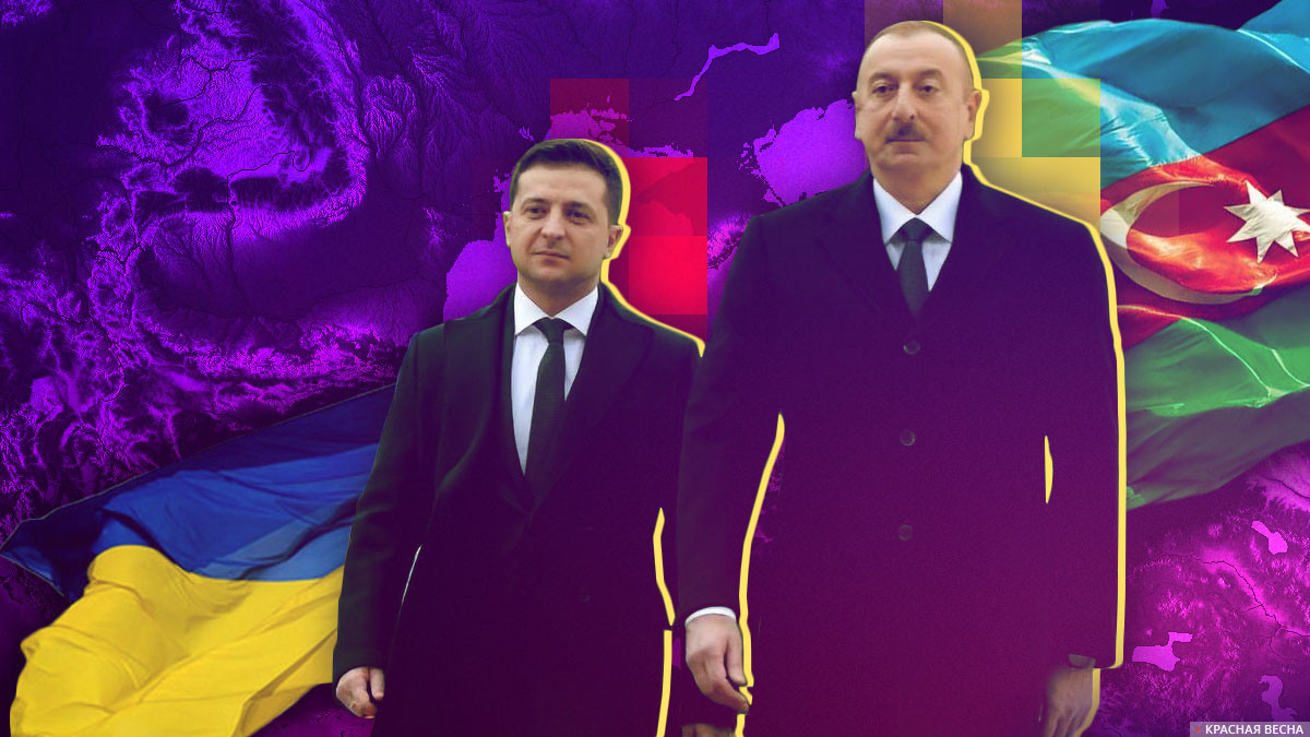 Владимир Зеленский и Ильхам Алиев. Иллюстрация: rossaprimavera.ru