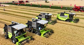 Китай семь лет подряд лидирует в мировом производстве зерна