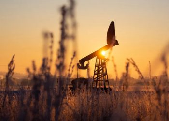 Фото: Андрей Рудаков/ Bloomberg