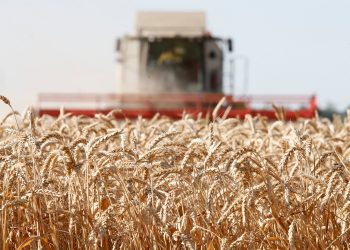 Фото: smolensk-i.ru