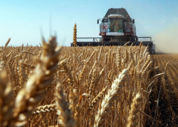 Фото: Валерий Матыцин / ТАСС