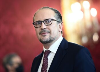 Глава МИД Австрии Александер Шалленберг. Фото: spiegel.de