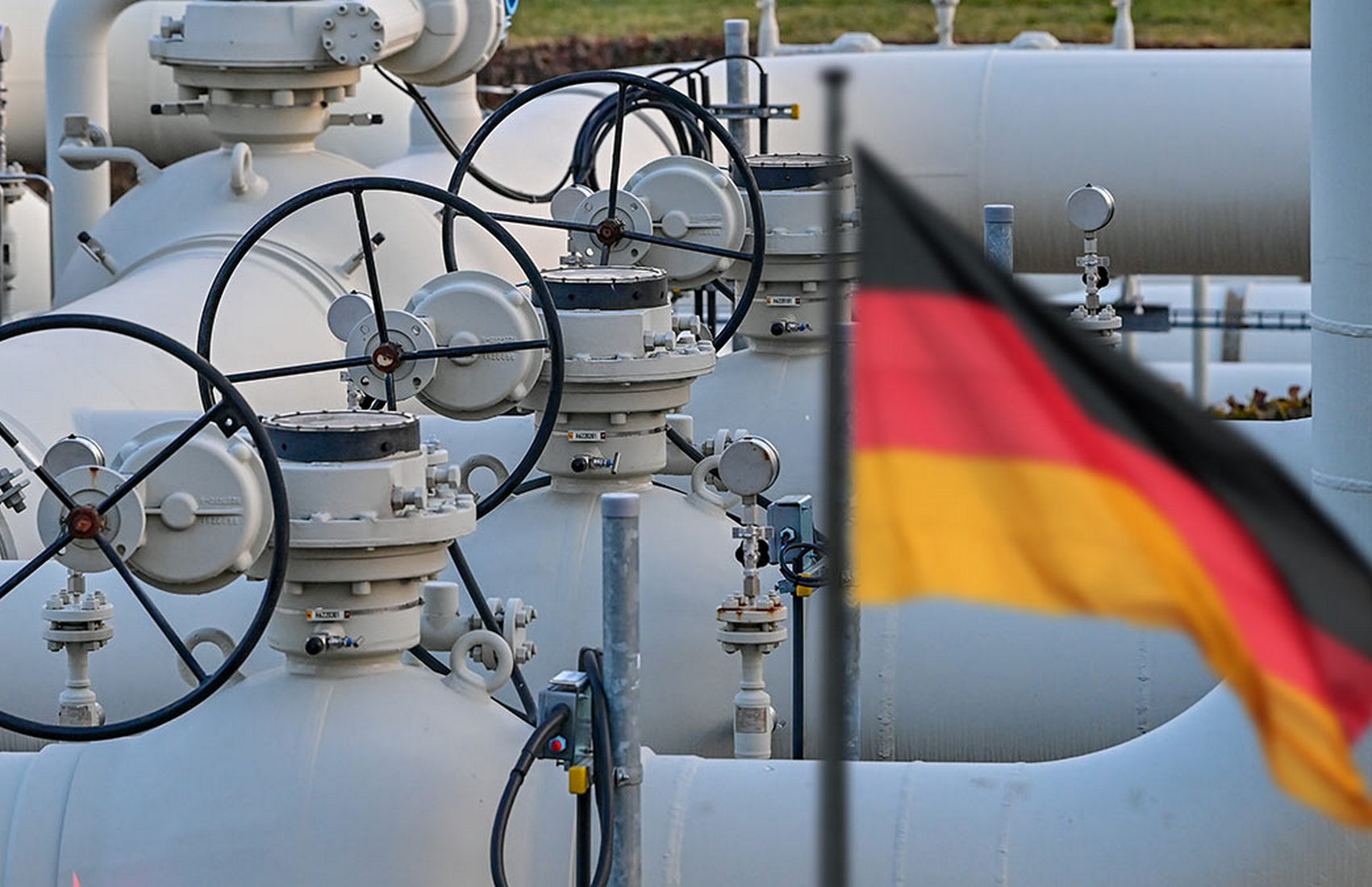 Фото: novoeizdanie.com