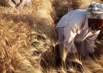 Фото: news.un.org