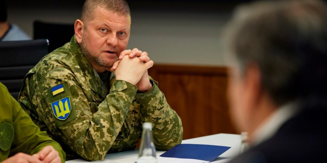 Валерий Залужный. Фото: president.gov.ua