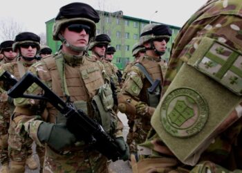 Фото: Минобороны Грузии