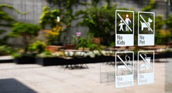 В Южной Корее набирают популярность «зоны без детей»