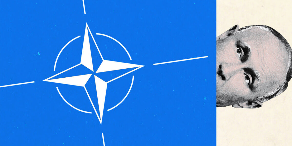 Иллюстрация: The Daily Beast