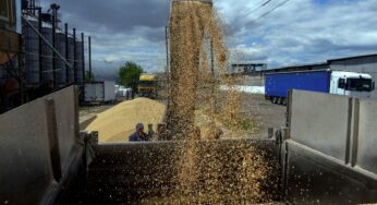 Польша призвала Еврокомиссию продлить запрет на импорт зерна из Украины