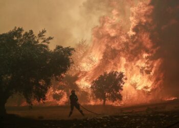 Фото: CNN
