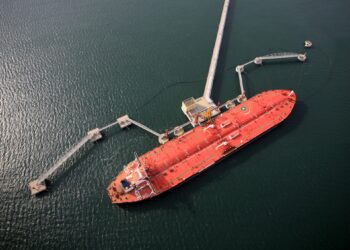 Фото: Shutterstock