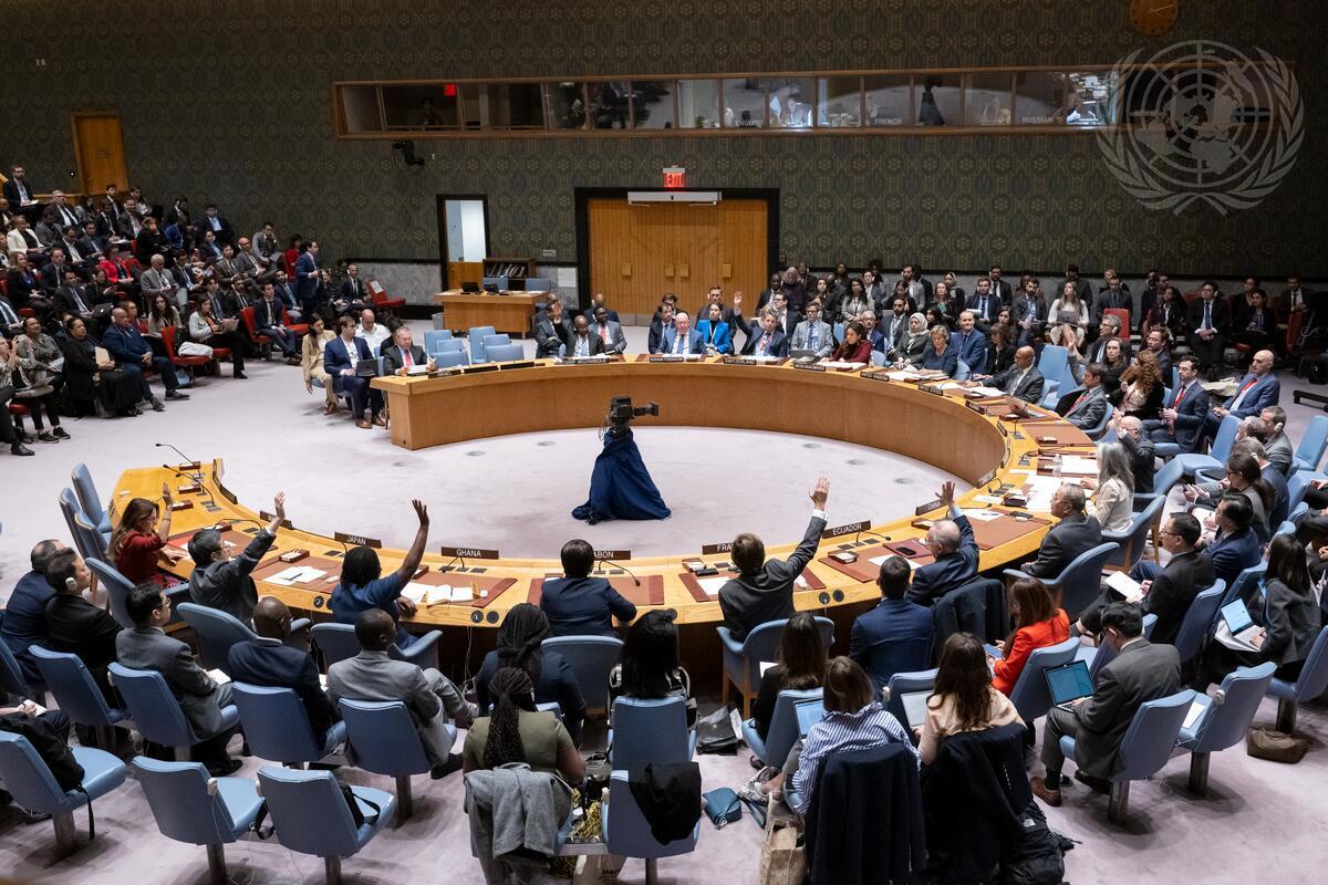 Заседание СБ ООН по Палестине. Фото: пресс-служба ООН