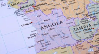 Место Анголы в ОПЕК займет Бразилия