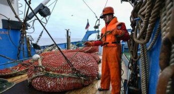 Зиланов: Пора запретить промысел судов любого иностранного государства в территориальных водах России