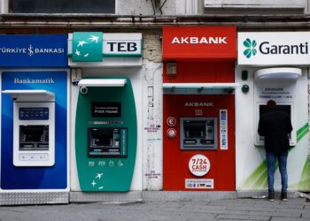 Фото: Shutterstock