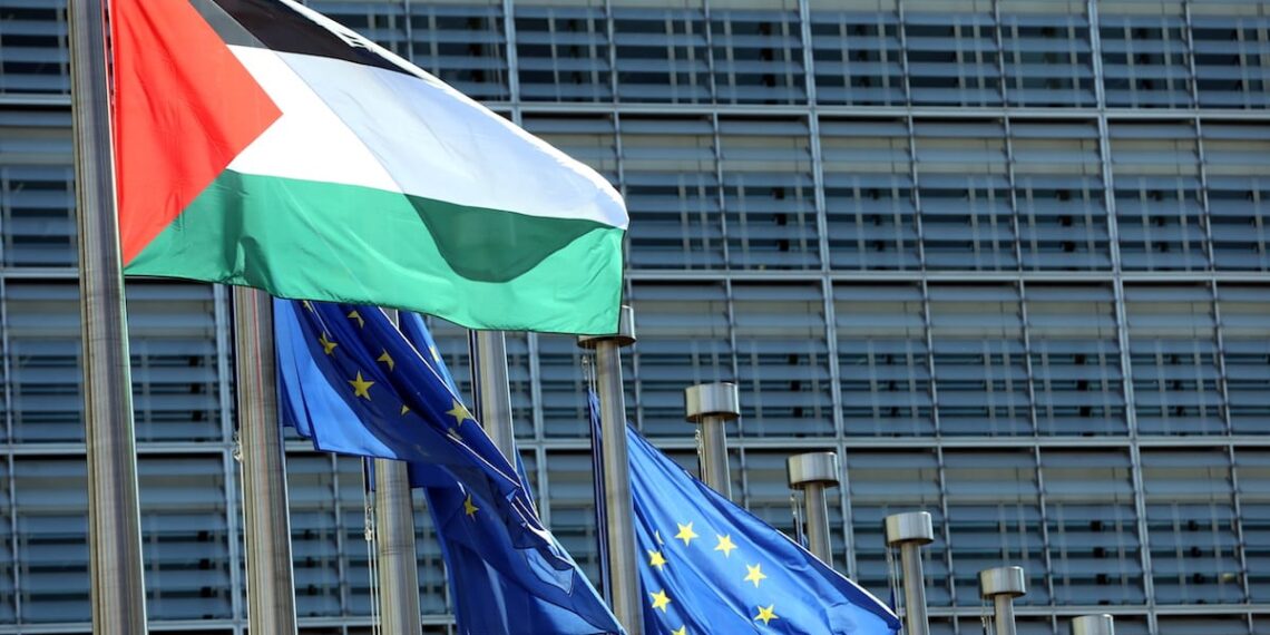 Флаги Палестины и ЕС. Фото: Dursun Aydemir / Anadolu