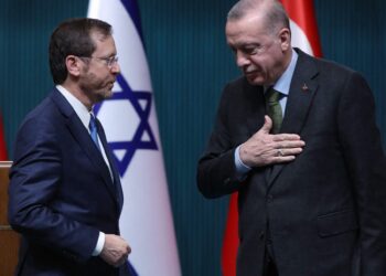 Реджеп Эрдоган и Ицхак Герцог. Фото: NYT