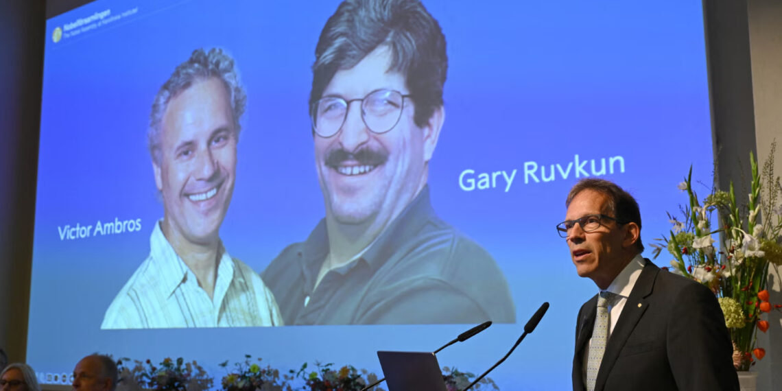 Генеральный секретарь Нобелевского комитета Томас Перлманн объявляет лауреатов этого года Виктора Амброса и Гэри Рувкума. Фото: Jonathan Nackstrand/AFP