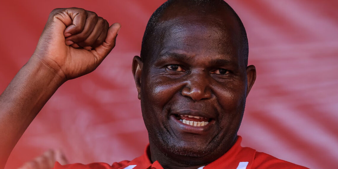 Даниэль Чапо