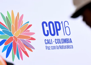 Фото: Хоакин Сармьенто/AFP