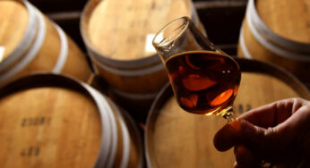 Пекин «ударил» по европейскому бренди в ответ на повышение пошлин на китайские электромобили