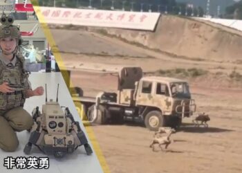 Робоволки могут работать вместе, при этом разные волки выполняют разные функции.