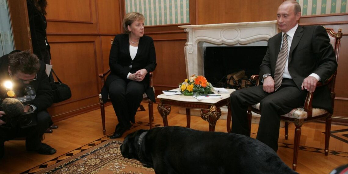 Собака Владимира Путина  участвовала в его переговорах с Ангелой Меркель в Сочи в 2007 году.