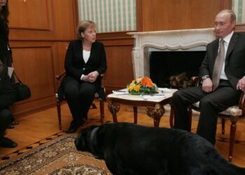 Собака Владимира Путина  участвовала в его переговорах с Ангелой Меркель в Сочи в 2007 году.