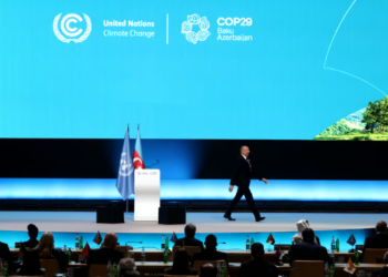 ЕС обеспокоен поведением бакинского диктатора Алиева на СОР29. Фото: Шон Гэллап