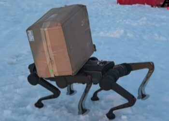 робот-хаски