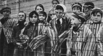 Крупнейший в мире архив Холокоста выложили в сеть