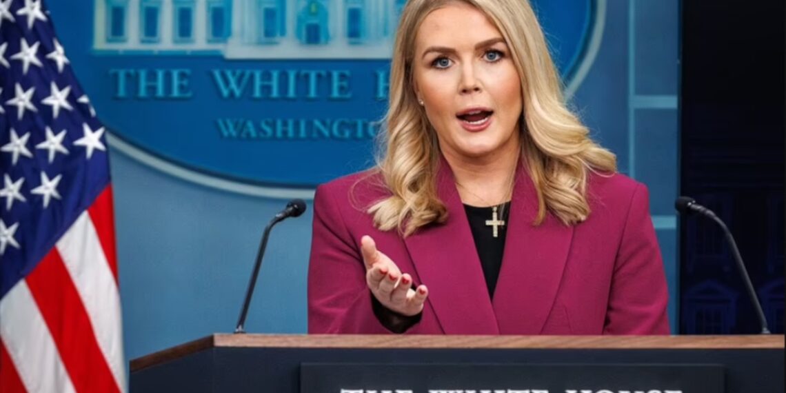 Кэролайн Ливитт назвала такие закупки "бессмысленной тратой денег налогоплательщиков".