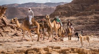 Спецслужбы Египта уничтожают пеший туризм из-за недоверия к бедуинам