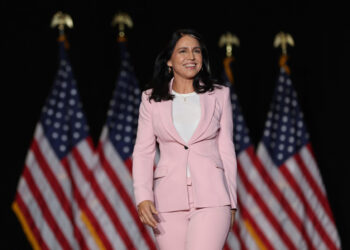 Тулси Габбард