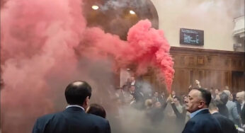 Во время драки в парламенте Сербии пострадала беременная депутат