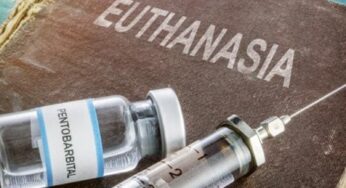 Число смертей от эвтаназии в Нидерландах достигло рекорда