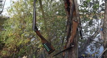 Арбитражный суд Ярославской области затягивает решение по «Келнотскому охотхозяйству», помогая депутату Тиграну Казаряну