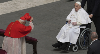 Папа Римский Франциск вышел к верующим в Вербное воскресенье