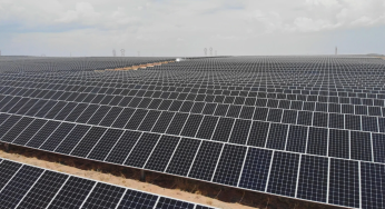 США теряют $14 млрд в зеленой энергетике на фоне курса Трампа