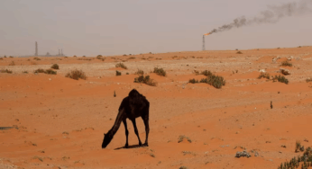 Saudi Aramco и Adnoc приостанавливают масштабные сделки на фоне падения цен на нефть