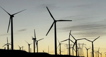 Администрация Трампа замораживает финансирование ветроэнергетики в пользу ископаемого топлива