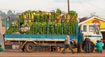 Транспортные расходы у стран без выхода к морю на 50% выше мирового уровня — ООН