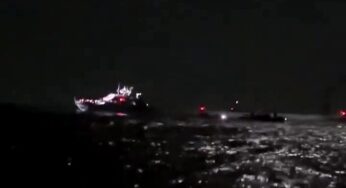 ХАМАС и Турция осудили перехват израильским флотом «Флотилии Сумуд» с гуманитарным грузом для Газы