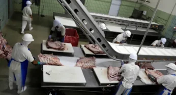 Бразилия наращивает экспорт говядины в Китай на фоне торгового конфликта Пекина и Вашингтона