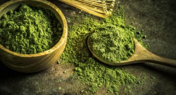 Экспорт зеленого чая из Японии достиг максимума за 70 лет