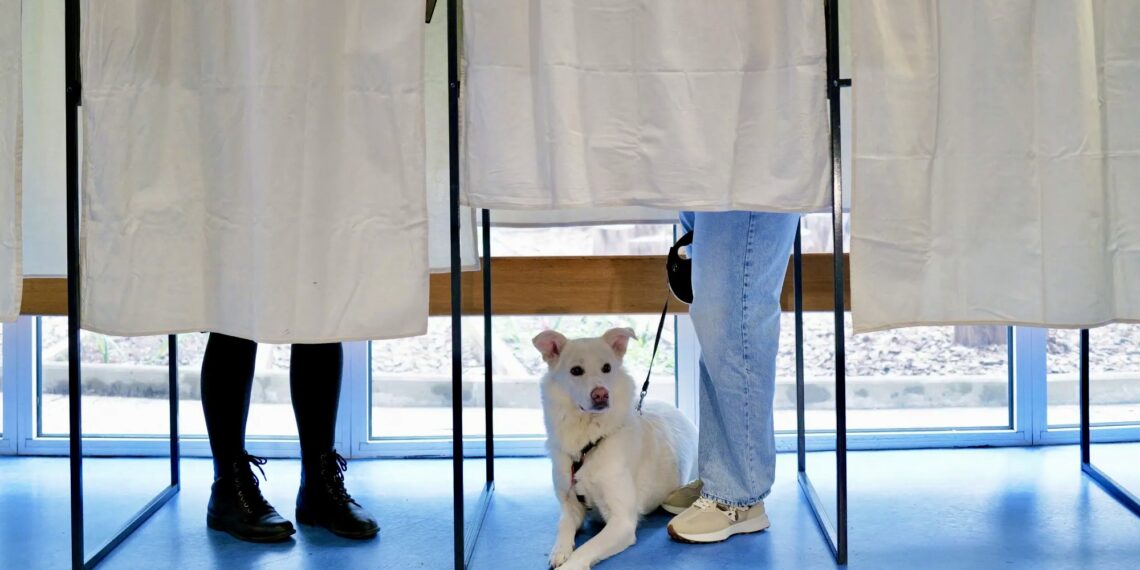 Выборы во Франции. Фото: AFP / Getty