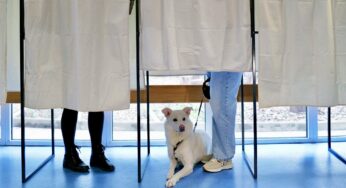 Париж остается левым, Ницца уходит к крайне правым: итоги первого тура муниципальных выборов во Франции