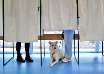 Выборы во Франции. Фото: AFP / Getty
