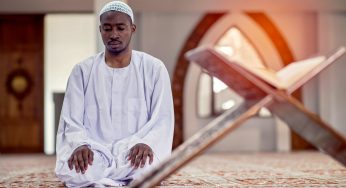 Демографический взрыв ислама в Африке: 760 млн мусульман и удвоение к 2050 году